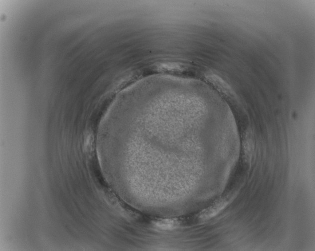 X0000080680079200612301435