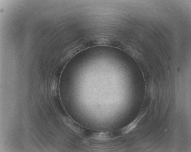 X0000080680082200612301435