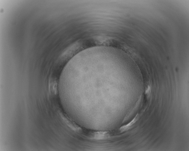 X0000080680090200612301435