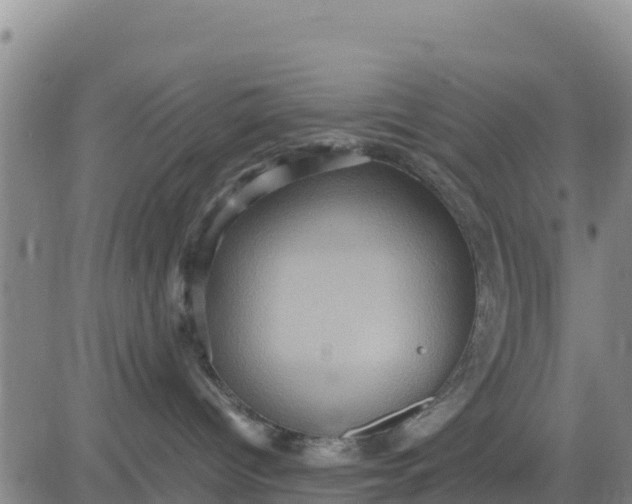 X0000080680096200612301435