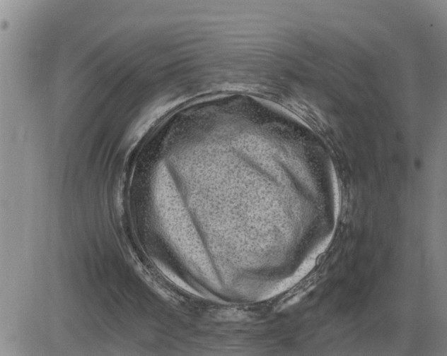 X0000080680098200612301435