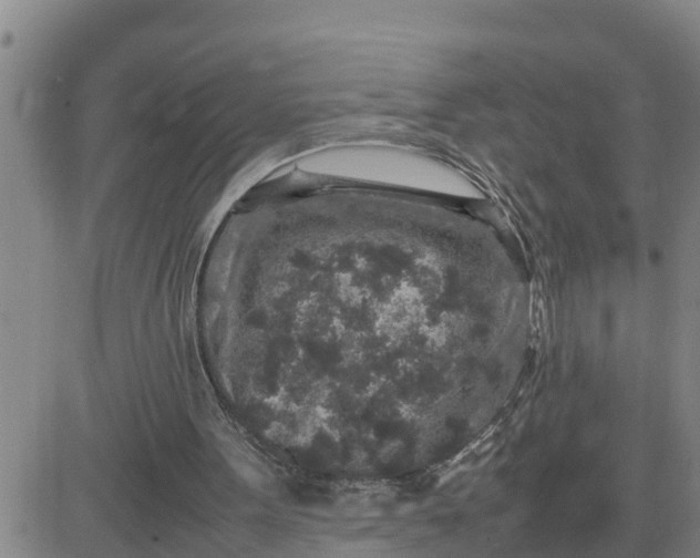 X0000080680099200612301435