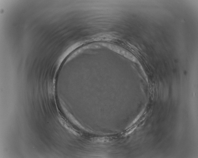 X0000080680100200612301435