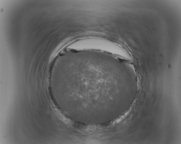 X0000080680101200612301435