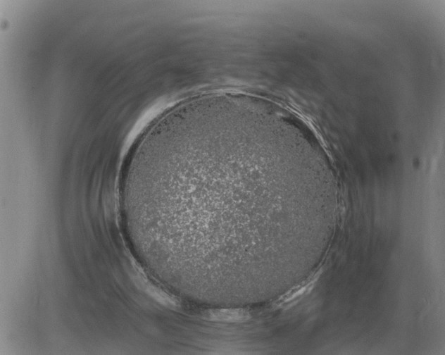 X0000080680102200612301434