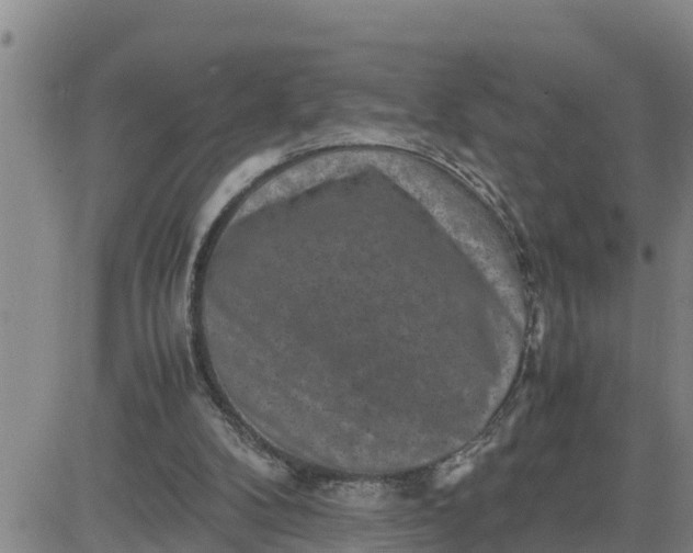 X0000080680104200612301434