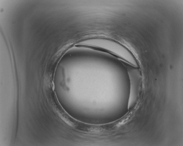 X0000080680105200612301434