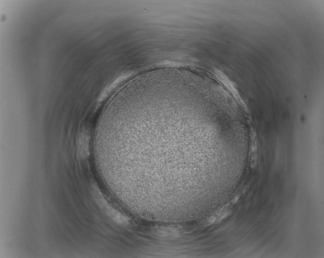 X0000080680106200612301434