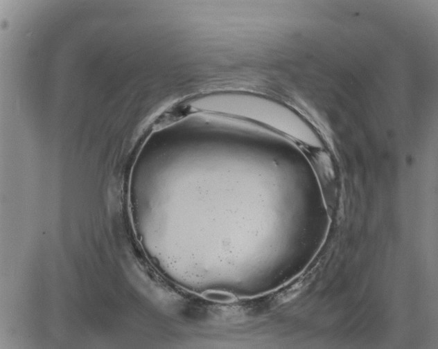 X0000080680107200612301434