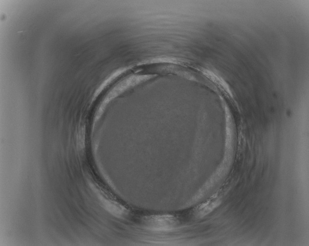 X0000080680108200612301434