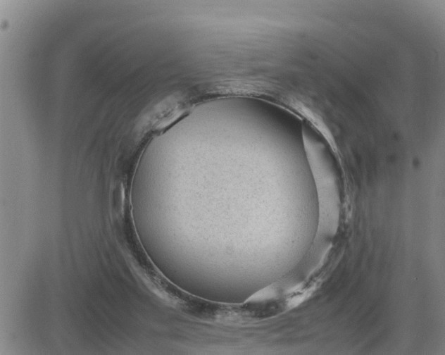 X0000080680109200612301434