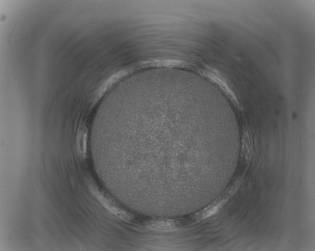 X0000080680110200612301434