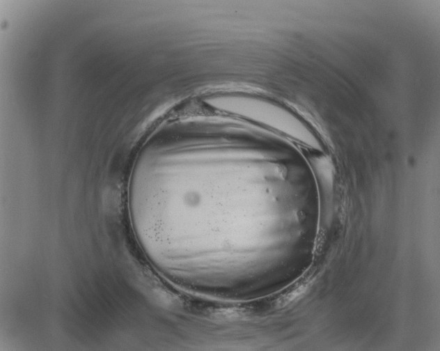 X0000080680111200612301434