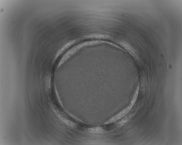 X0000080680112200612301434