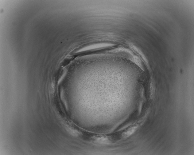 X0000080680113200612301434