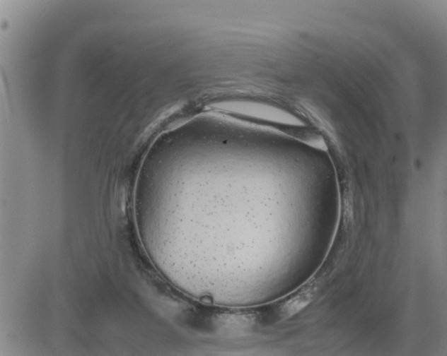 X0000080680115200612301434