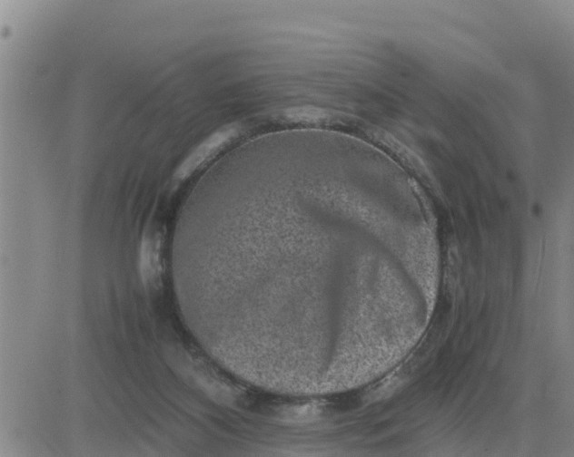 X0000080680116200612301434