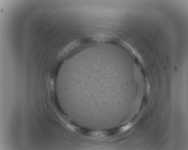 X0000080680117200612301434