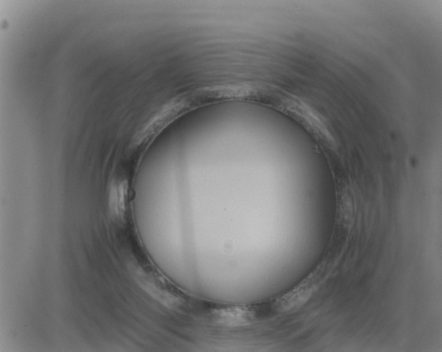 X0000080680118200612301434