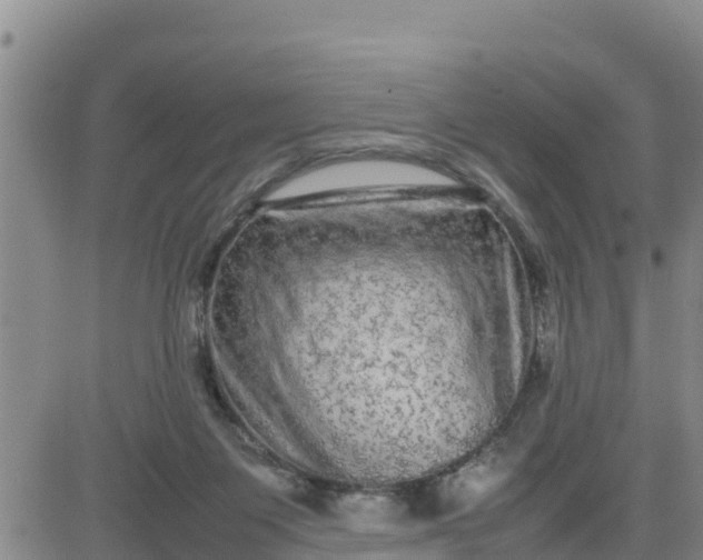 X0000080680119200612301434