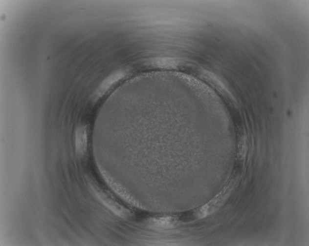 X0000080680120200612301434