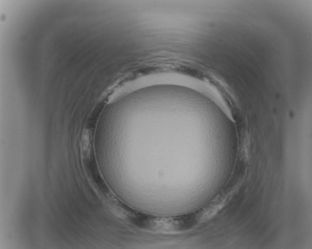 X0000080680121200612301434