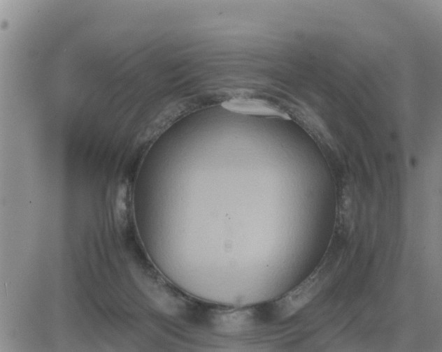 X0000080680122200612301434