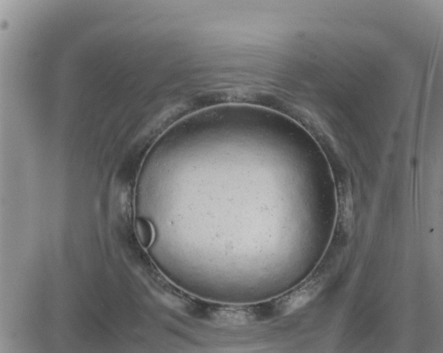 X0000080680123200612301434