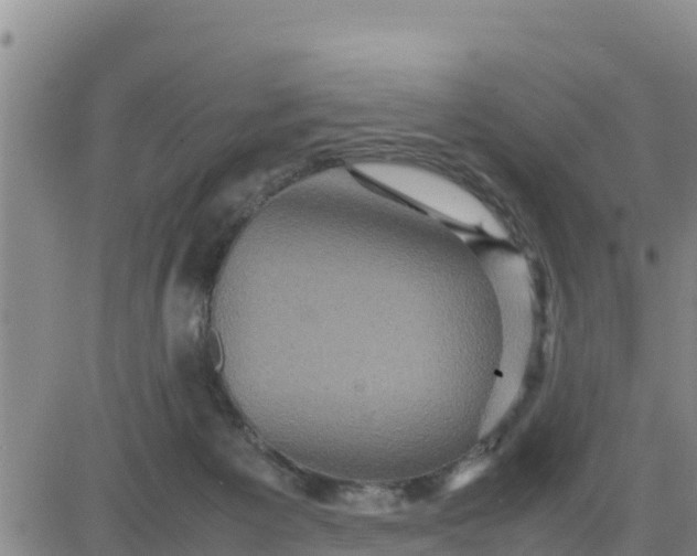 X0000080680125200612301434