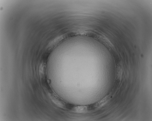 X0000080680126200612301434