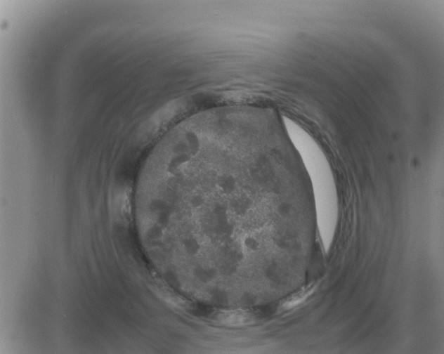 X0000080680127200612301434