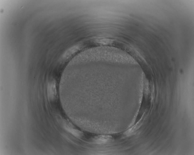 X0000080680128200612301434