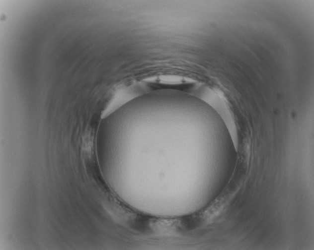 X0000080680129200612301434