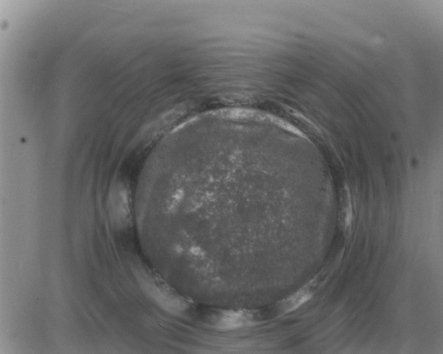 X0000080680130200612301434