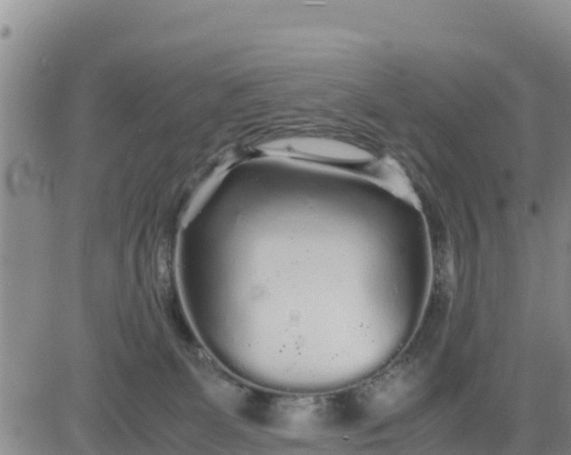 X0000080680131200612301434