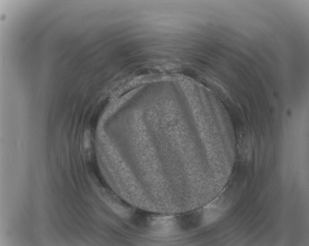 X0000080680132200612301434