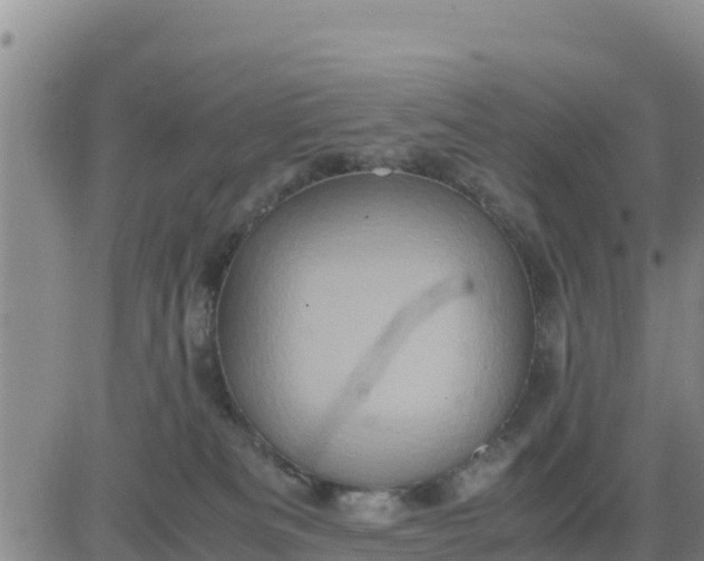 X0000080680133200612301434