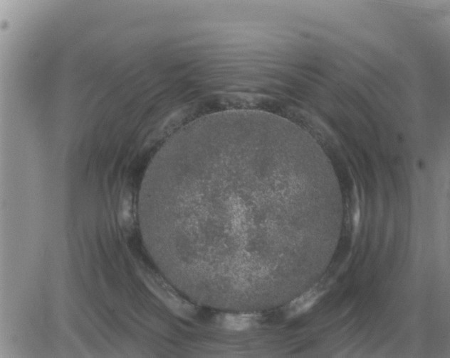 X0000080680134200612301434