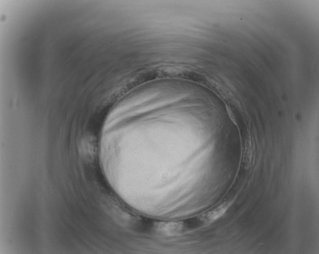 X0000080680135200612301434