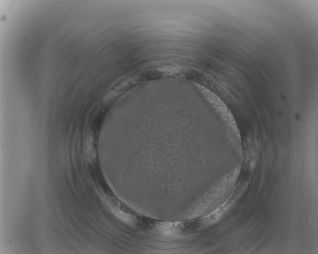 X0000080680136200612301434