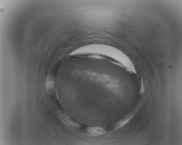 X0000080680137200612301434