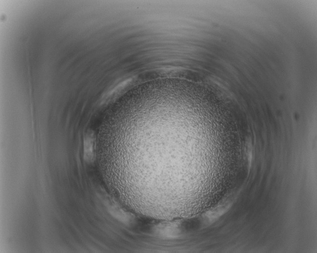 X0000080680138200612301434