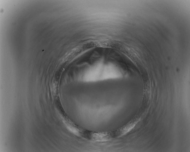 X0000080680139200612301434