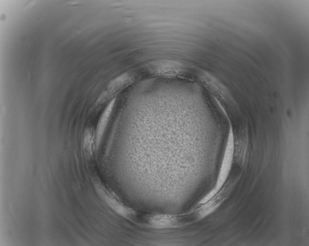 X0000080680142200612301434