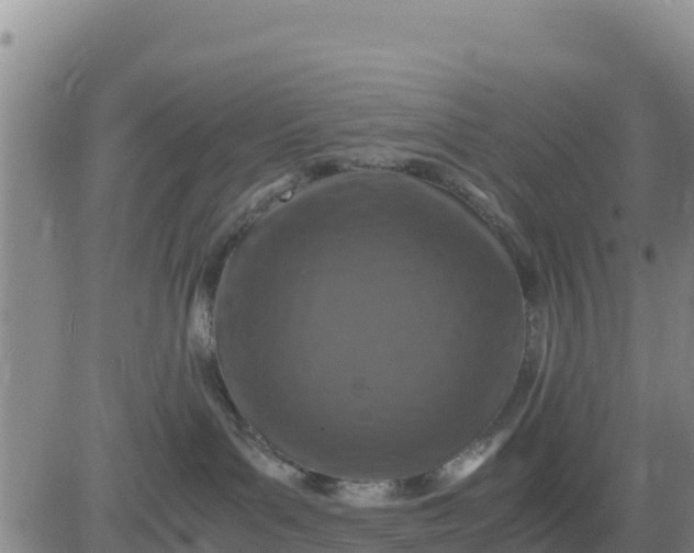 X0000080680143200612301434