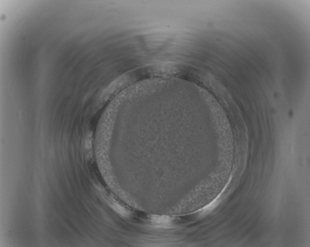 X0000080680144200612301434