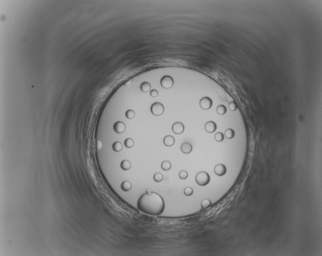 X0000080680145200612301433