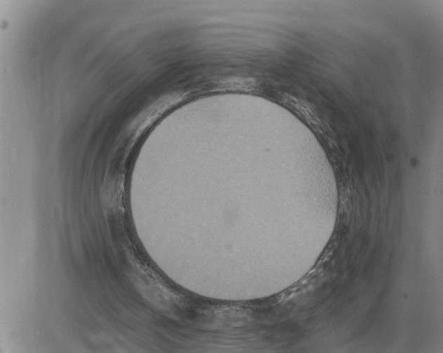 X0000080680146200612301433