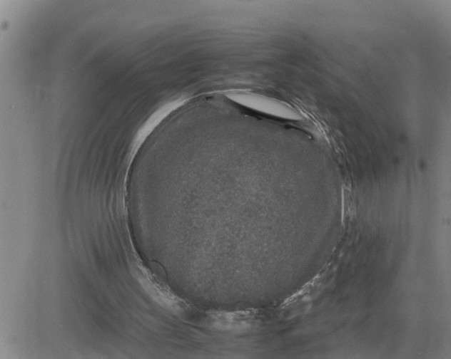 X0000080680147200612301433