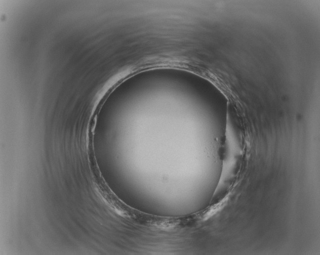 X0000080680148200612301433